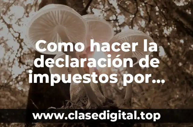 Como hacer la declaración de impuestos por primera vez