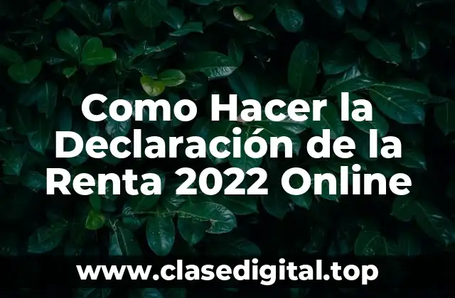 Como Hacer la Declaración de la Renta 2022 Online