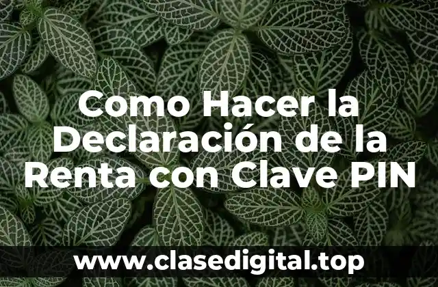 Como Hacer la Declaración de la Renta con Clave PIN