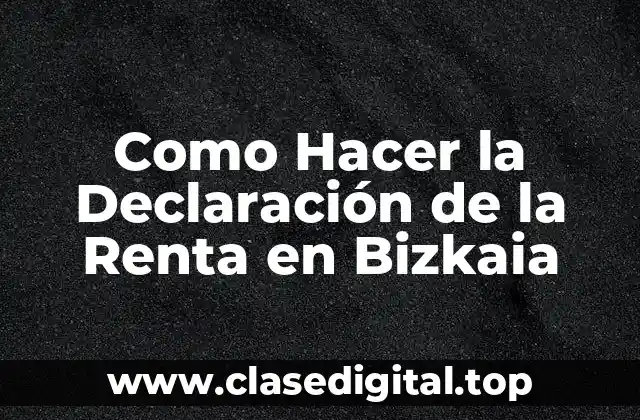 Como Hacer la Declaración de la Renta en Bizkaia