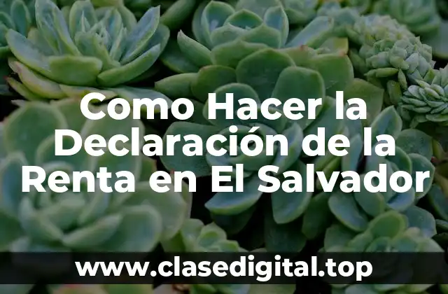 Como Hacer la Declaración de la Renta en El Salvador