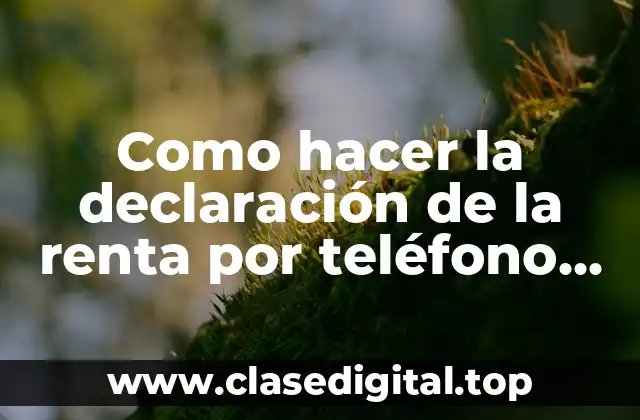 Declaración de la renta por teléfono