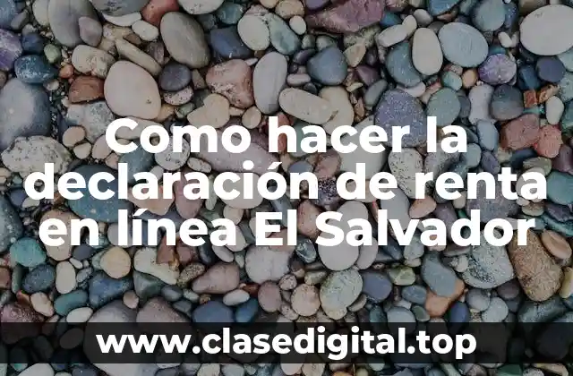 Como hacer la declaración de renta en línea El Salvador