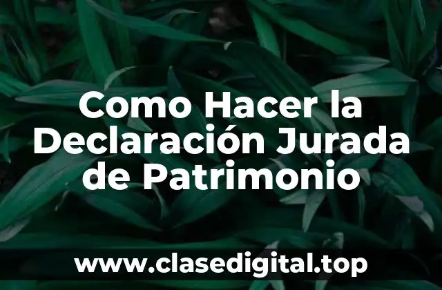 Como Hacer la Declaración Jurada de Patrimonio