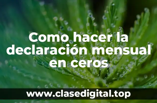 Como hacer la declaración mensual en ceros
