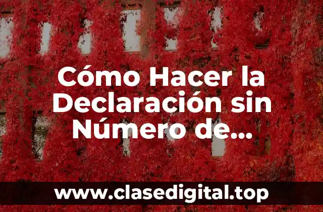 Cómo Hacer la Declaración sin Número de Referencia