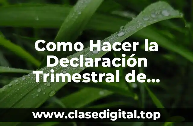Como Hacer la Declaración Trimestral de Autónomos
