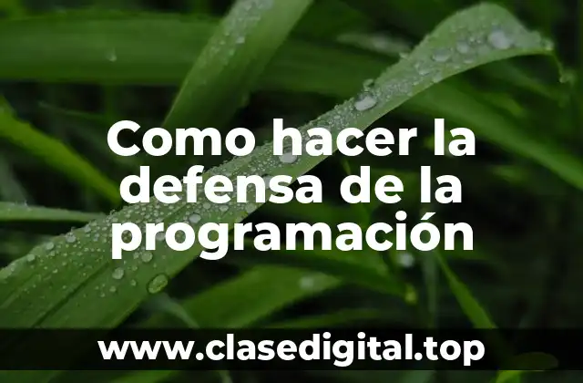 Como hacer la defensa de la programación