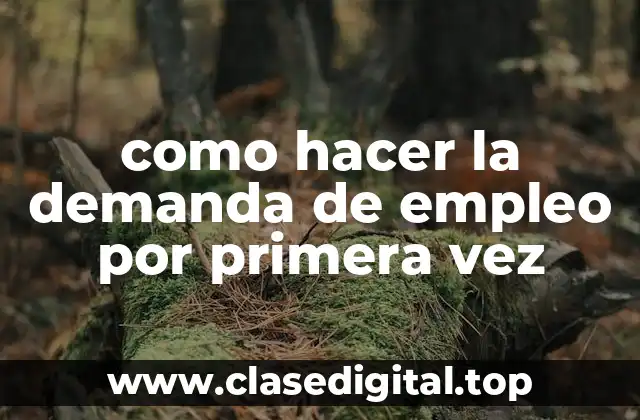 como hacer la demanda de empleo por primera vez