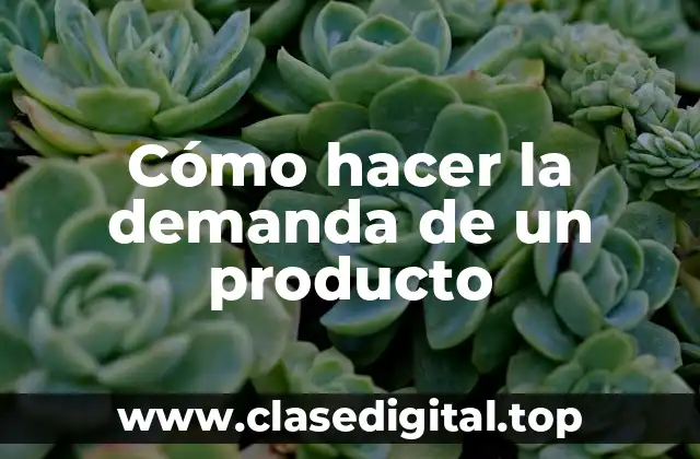 Cómo hacer la demanda de un producto