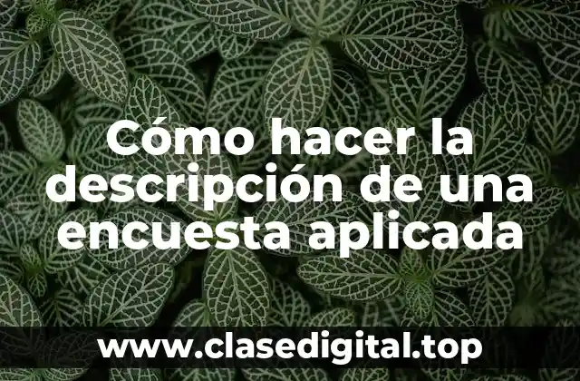 Cómo hacer la descripción de una encuesta aplicada