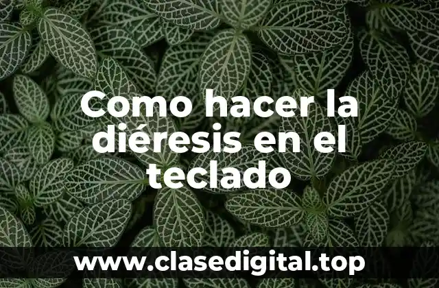 Como hacer la diéresis en el teclado