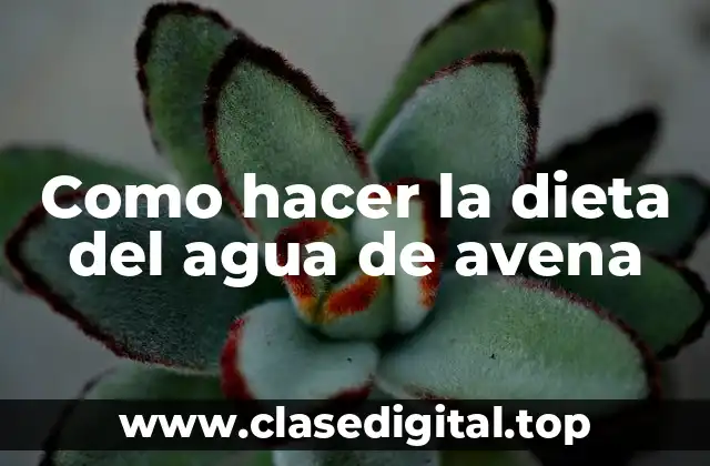 Como hacer la dieta del agua de avena