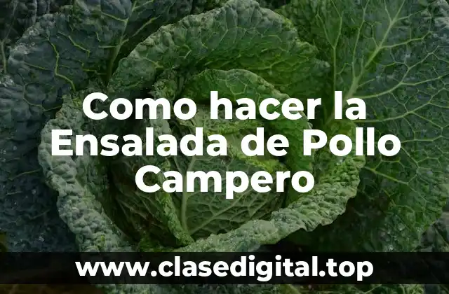 Como hacer la Ensalada de Pollo Campero