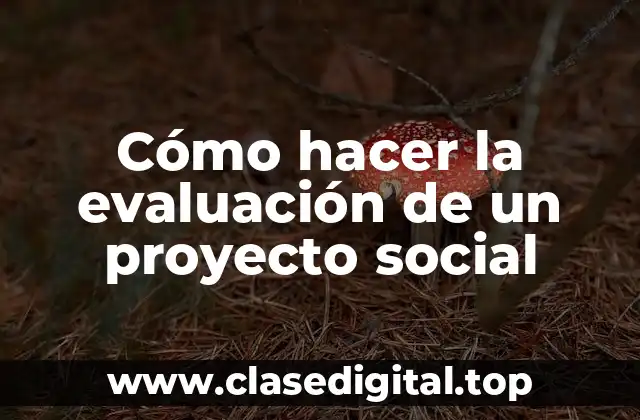 Cómo hacer la evaluación de un proyecto social