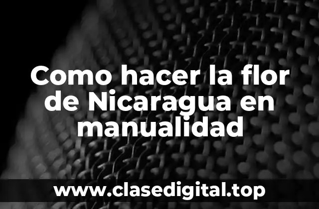 Como hacer la flor de Nicaragua en manualidad