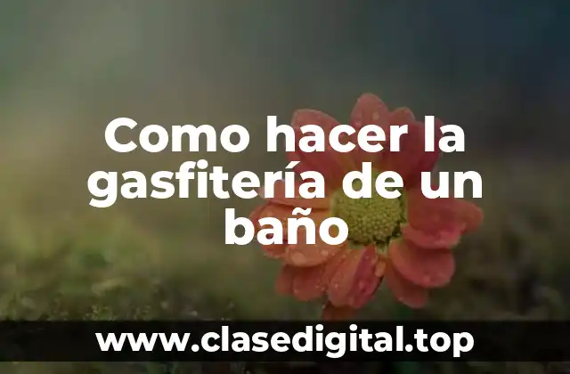 La gasfitería de un baño