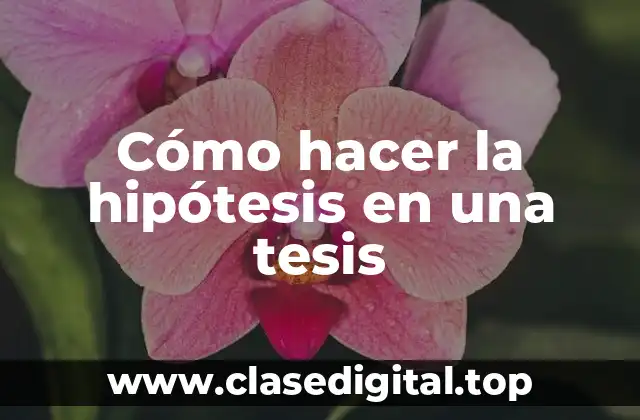 ¿Qué es una hipótesis en una tesis?