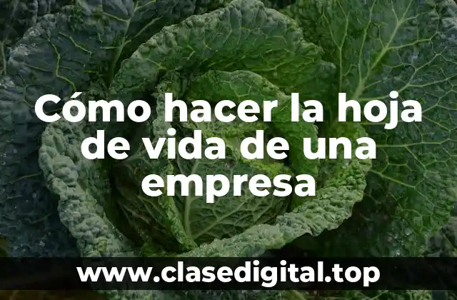 Cómo hacer la hoja de vida de una empresa