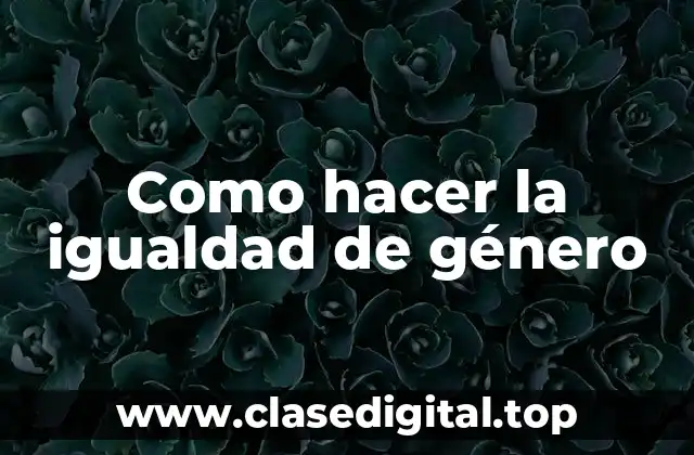 Como hacer la igualdad de género