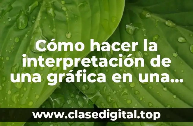 Cómo hacer la interpretación de una gráfica en una tesis