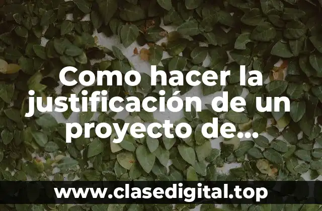 Como hacer la justificación de un proyecto de emprendimiento