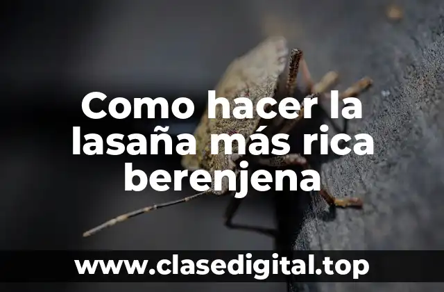 Como hacer la lasaña más rica berenjena