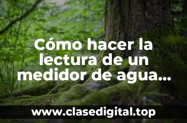 Cómo hacer la lectura de un medidor de agua ARAD
