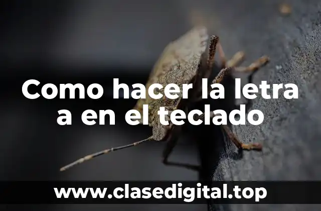 Como hacer la letra a en el teclado