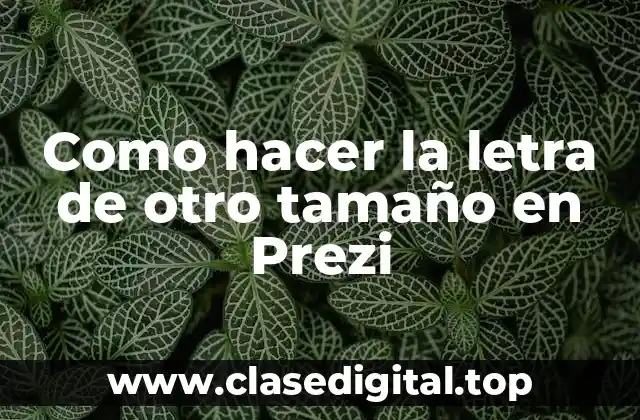 Como hacer la letra de otro tamaño en Prezi