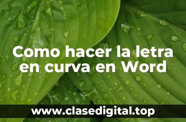 ¿Qué es un texto curvo en Word?