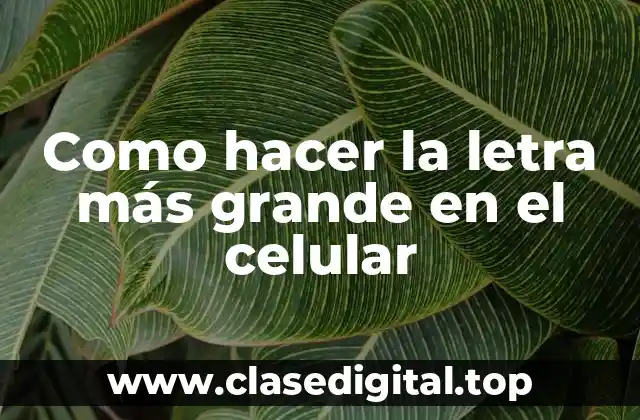 Como hacer la letra más grande en el celular