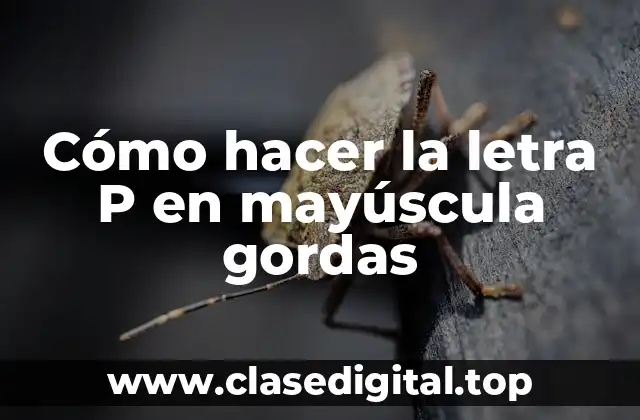 Cómo hacer la letra P en mayúscula gordas
