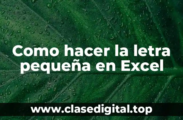 Como hacer la letra pequeña en Excel