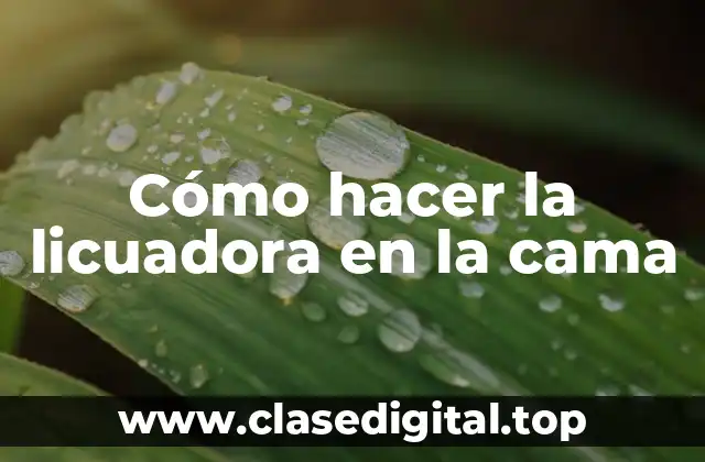 Cómo hacer la licuadora en la cama