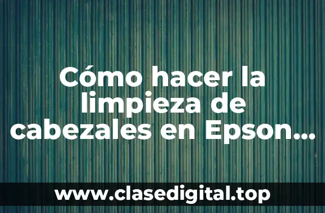 Cómo hacer la limpieza de cabezales en Epson TX105
