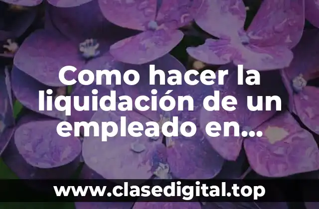 Como hacer la liquidación de un empleado en Colombia