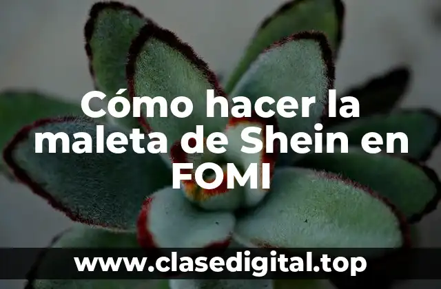 Cómo hacer la maleta de Shein en FOMI