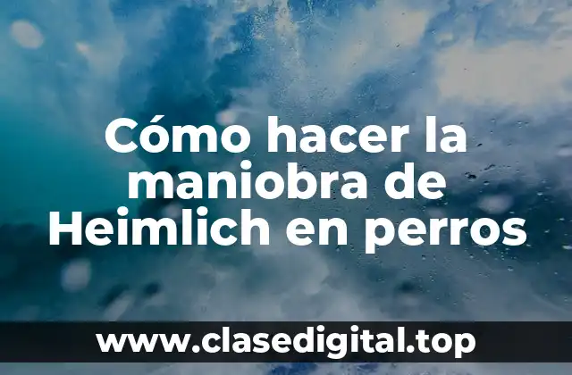 Cómo hacer la maniobra de Heimlich en perros