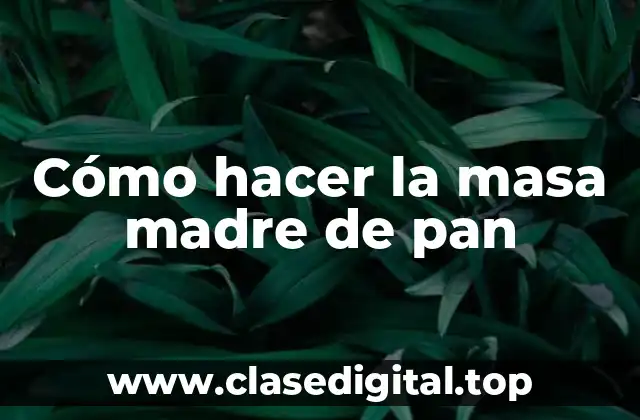 ¿Qué es la masa madre de pan?
