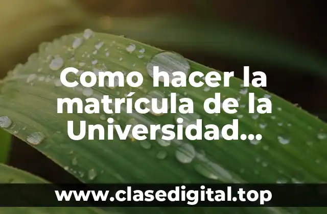 Como hacer la matrícula de la Universidad Complutense