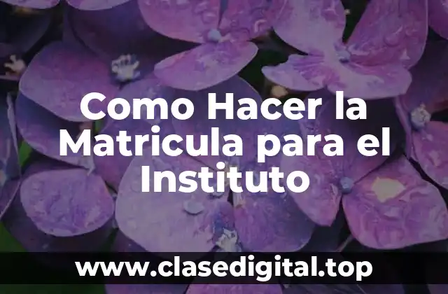 Como Hacer la Matricula para el Instituto
