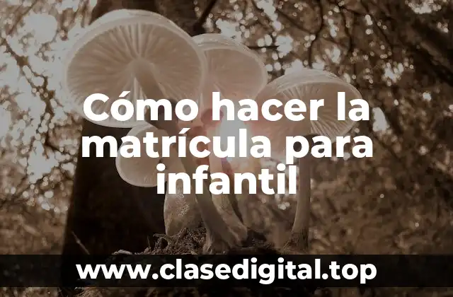 Cómo hacer la matrícula para infantil