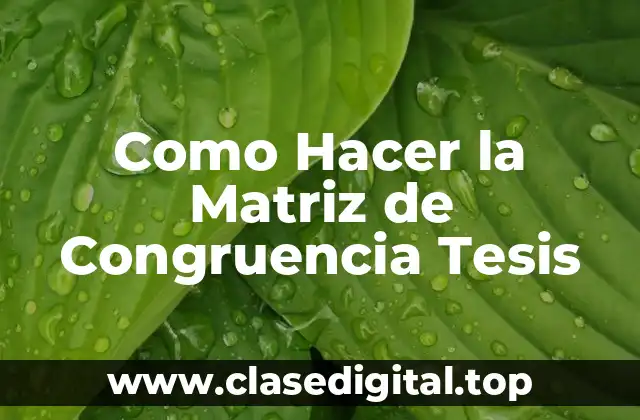 Como Hacer la Matriz de Congruencia Tesis