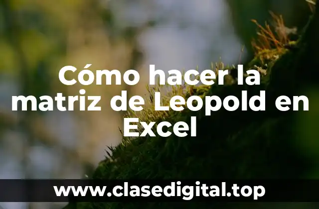 ¿Qué es la matriz de Leopold y para qué sirve?