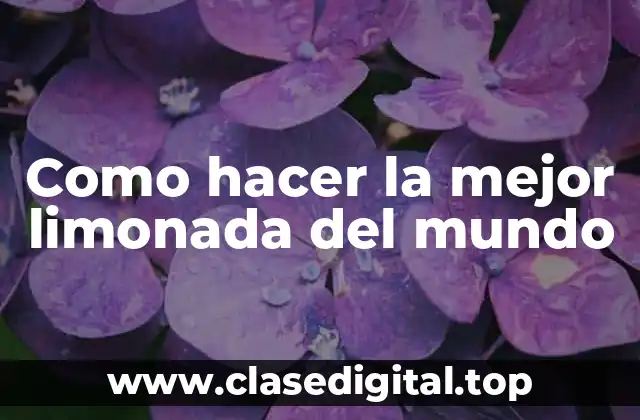 Como hacer la mejor limonada del mundo