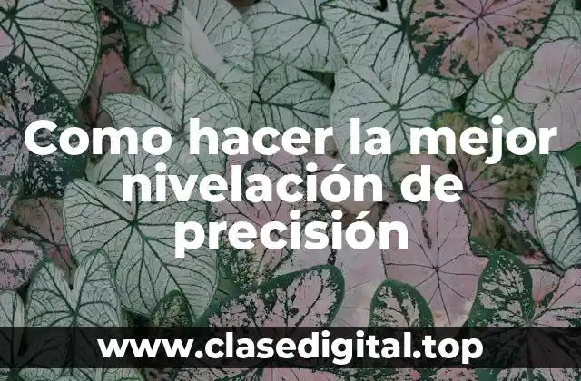 Como hacer la mejor nivelación de precisión