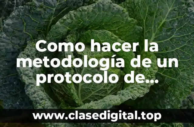 Como hacer la metodología de un protocolo de investigación