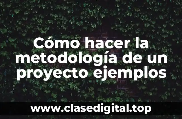 Cómo hacer la metodología de un proyecto ejemplos