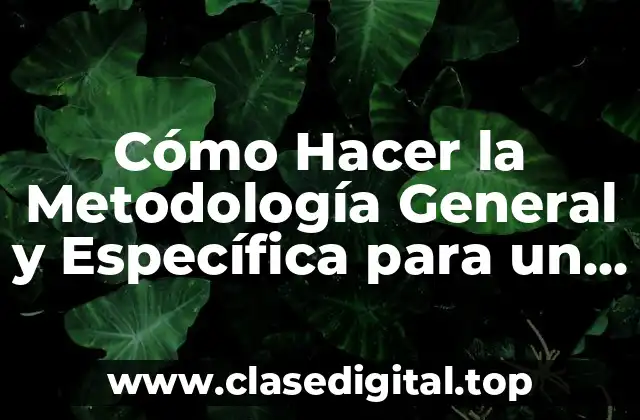 Cómo Hacer la Metodología General y Específica para un Proyecto